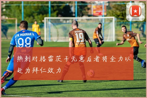 热刺对格雷茨卡无意后者将全力以赴为拜仁效力