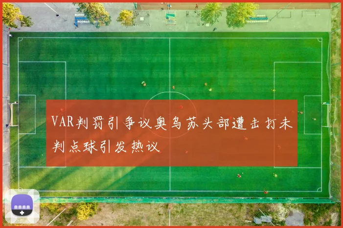 VAR判罚引争议奥乌苏头部遭击打未判点球引发热议